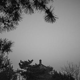 《完蛋！我被美女包围了》续作公布 古装情感互动